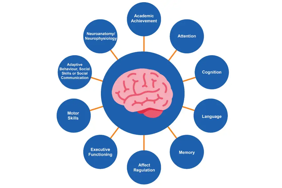 FASD Clinical Supports